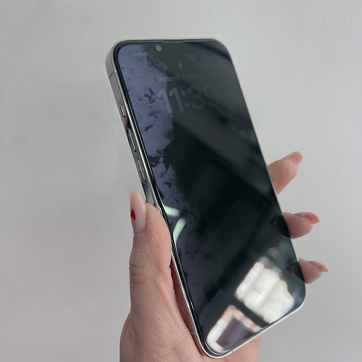 VETRO PRIVACY
